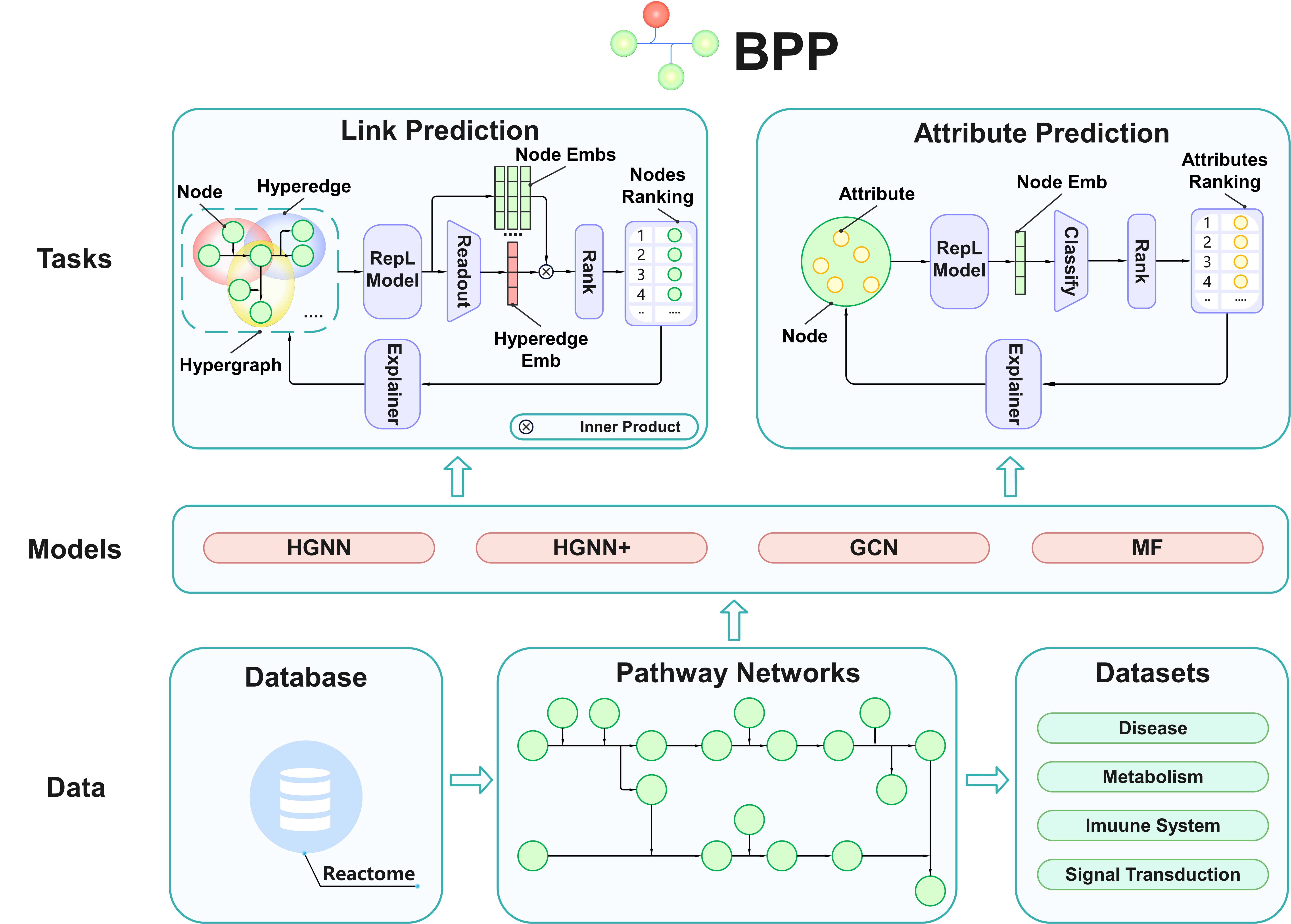 BPP project visual