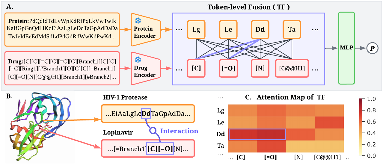 FusionDTI project visual